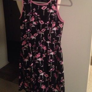 Flamingo Fit and Flare dress with pockets! Size 4