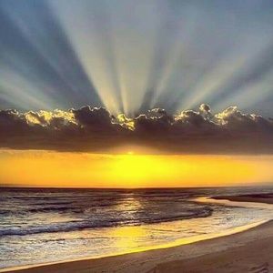 Meet your Posher, Jillian