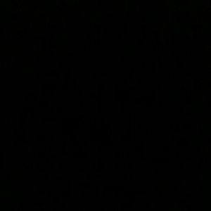 Meet your Posher, Jimmy