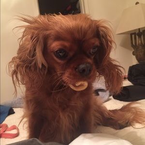 Meet your Posher, Maksim