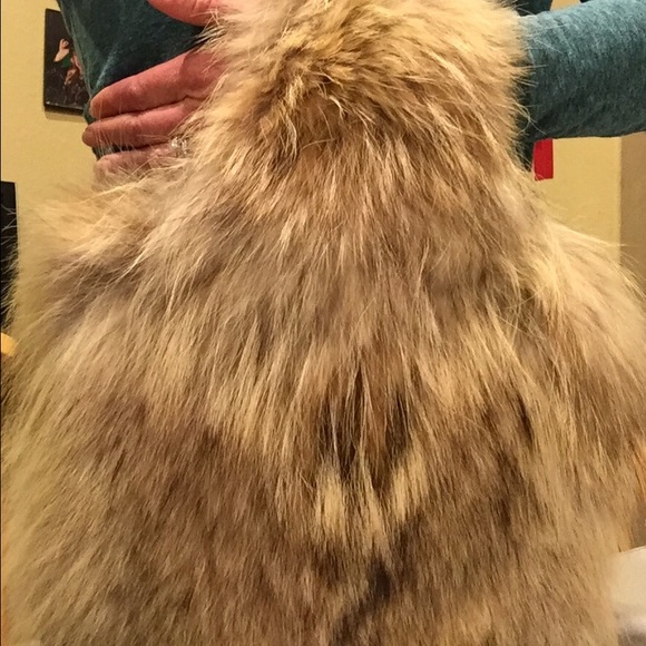 Vintage Coyotes fur Head Band/Neck Warmer & Purse - Picture 2 of 4