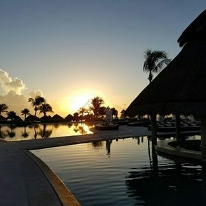 Meet your Posher, Pennie