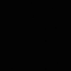 Meet your Posher, Baylee