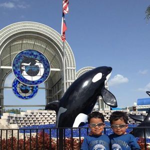 Meet your Posher, Rosy