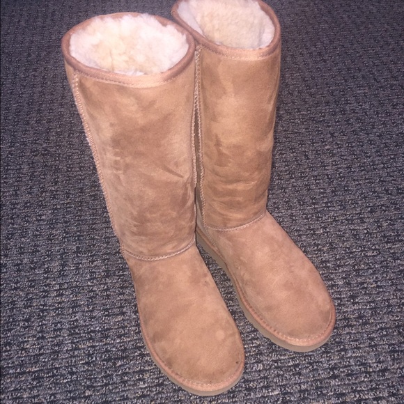 Women's Ugg Classic Tall 7