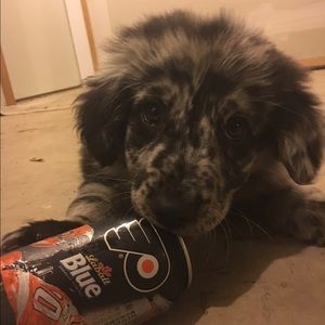 Meet your Posher, Kyle