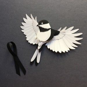 Meet your Posher, Apinya