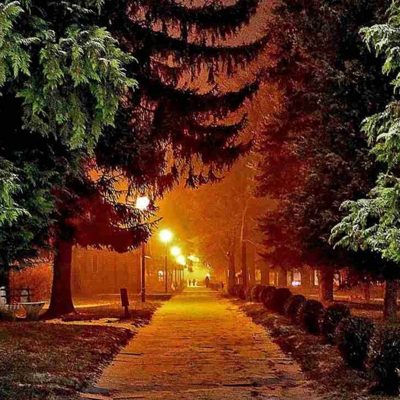 Meet your Posher, Mirjana - Picture 1 of 1