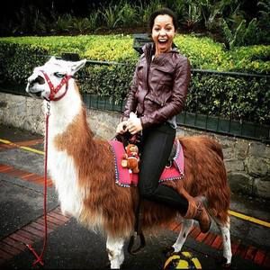 Meet your Posher, Pelita