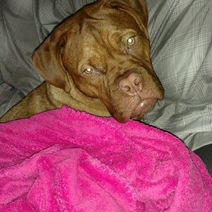 Meet your Posher, Heather