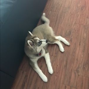 Meet your Posher, Matthew