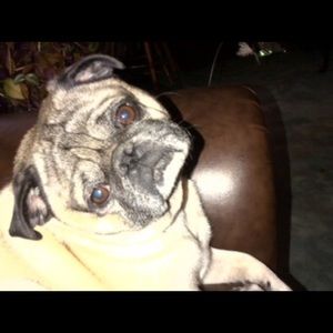 Meet your Posher, Jackie