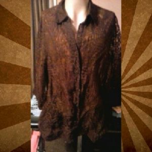 NWT Ruby Rd Brown Sheer Button UP 24w