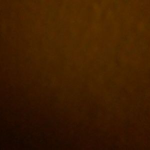 Meet your Posher, Diego