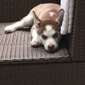 Meet your Posher, Marisa