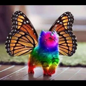 Meet your Posher, Al