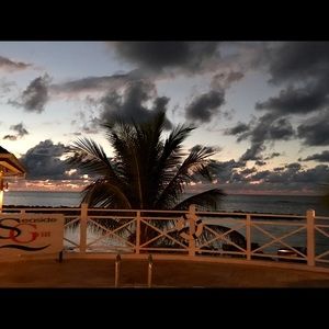 Meet your Posher, Marilyn