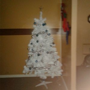 Meet your Posher, Karyn