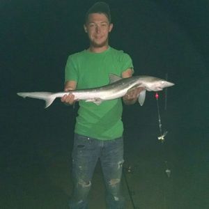 Meet your Posher, Jake