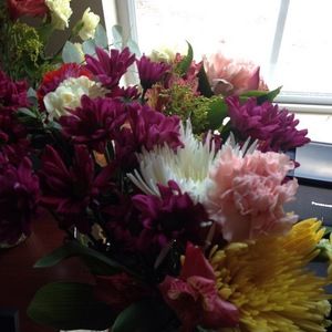 Meet your Posher, Connie