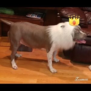 Meet your Posher, Randall