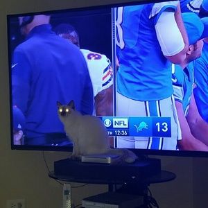 Meet your Posher, Jorge