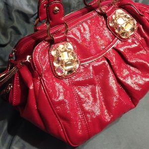 Kathy VanZeeland bag