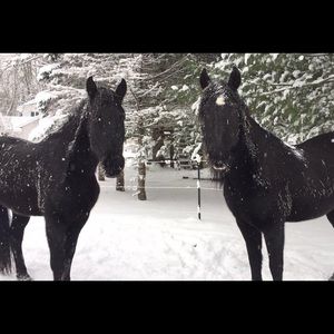 Meet your Posher, Parker