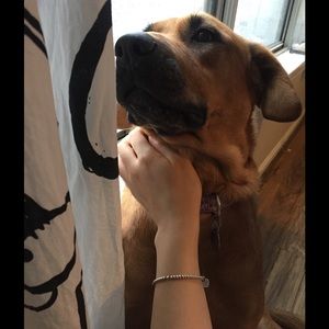 Meet your Posher, Ling