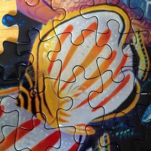 Meet your Posher, Kaitlin