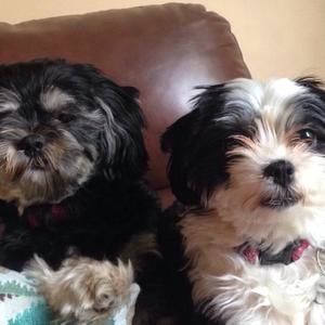 Meet your Posher, Theresa