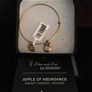 Alex and Ani teacher Apple bracelet