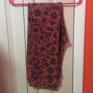 LuLaRoe Tall and Curvy Leggings