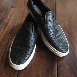 Steve Madden Sneakers