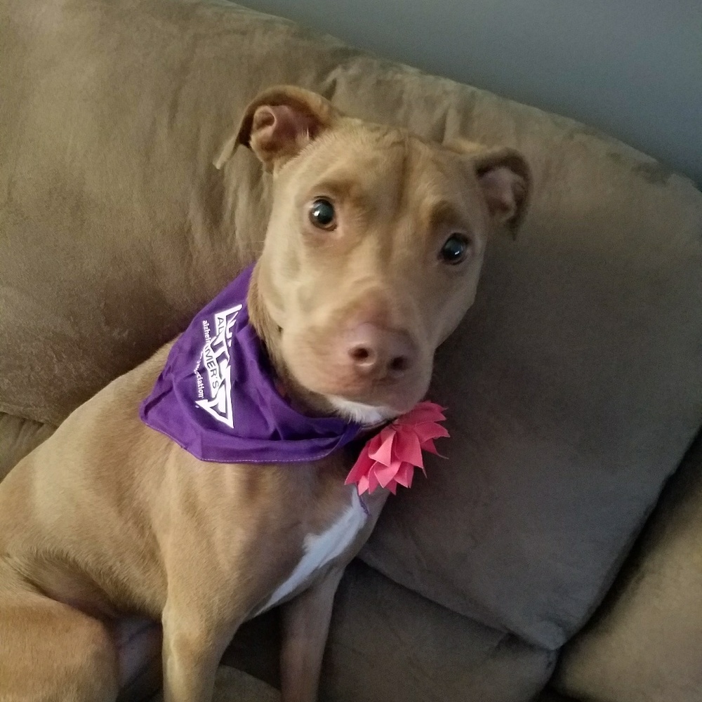 Meet your Posher, Melissa