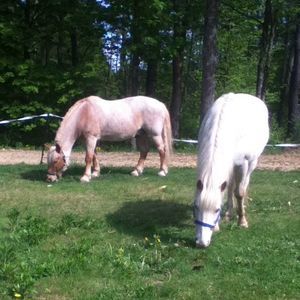 Meet your Posher, Eilish