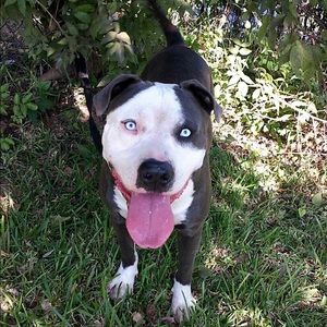 Meet your Posher, Ricky