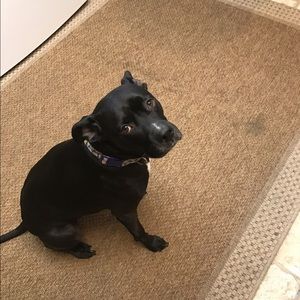 Meet your Posher, Becca