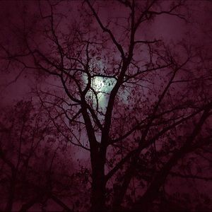 Meet your Posher, Jenn