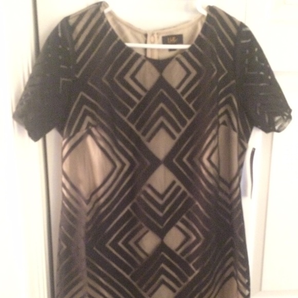 Tan with black overlay dress. Perfect for work.