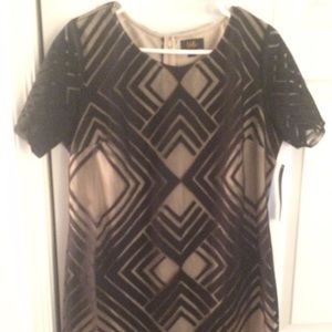 Tan with black overlay dress. Perfect for work.