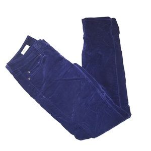 ❗️SALE❗️Blue Velvet Skinny Pant by Gap