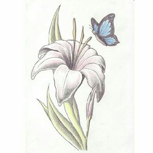 Meet your Posher, Rebekah