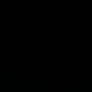 Meet your Posher, Ray