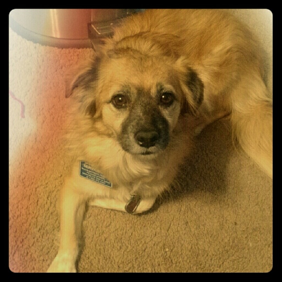 Meet your Posher, Julie - Picture 2 of 3