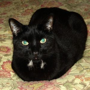 Meet your Posher, Jolanta