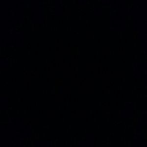 Meet your Posher, Selena