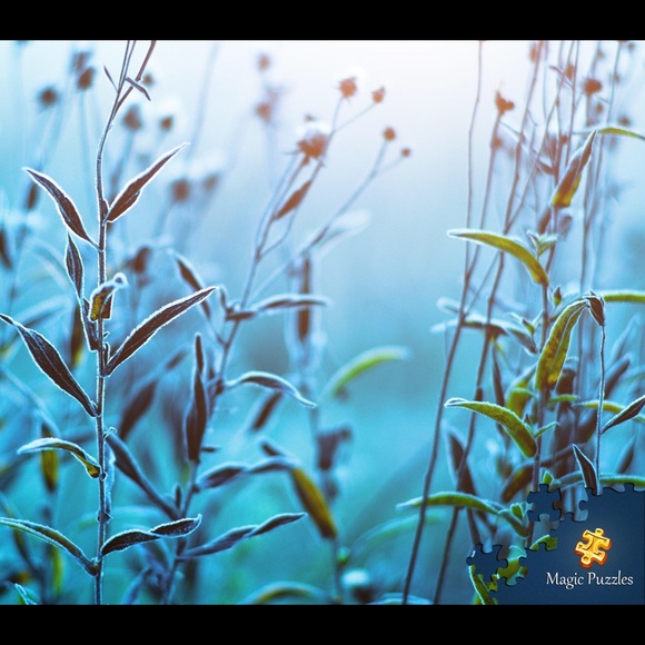 Meet your Posher, Graycen