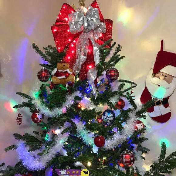 Meet your Posher, Evelyn