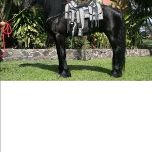 Meet your Posher, Allison